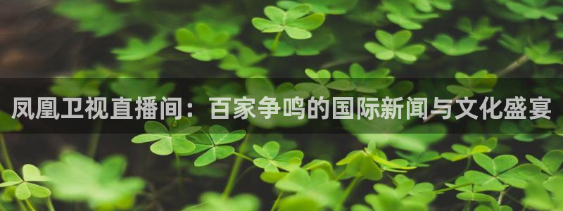 jrkan2023免费体育直播：凤凰卫视直播间：百家争鸣的国际新闻与文化盛宴