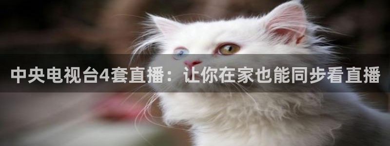 jrkan视频直播nba：中央电视台4套直播：让你在家也能同步看直播