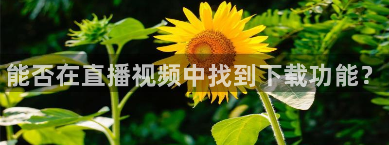 nba网站直播jrkan：能否在直播视频中找到下载功能？