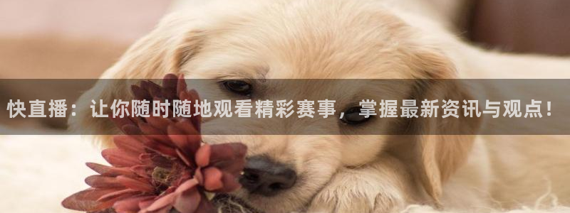 jrkan直播免费高清体育直播nba：快直播：让你随时随地观看精彩赛事，掌握最新资讯与观点！