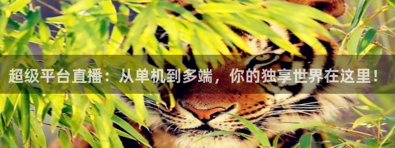 jrkan2022直播体育网：超级平台直播：从单机到多端，你的独享世界在这里！
