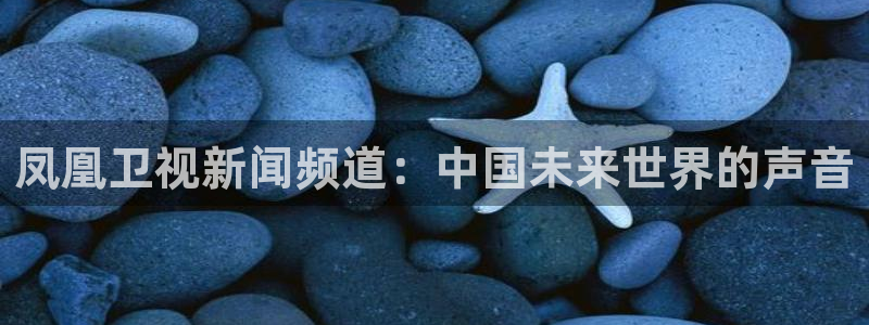 篮球直播jrkan：凤凰卫视新闻频道：中国未来世界的声音
