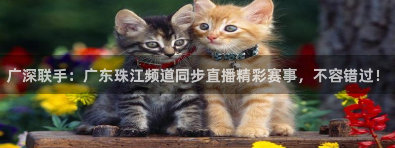 jrkan2022直播体育网：广深联手：广东珠江频道同步直播精彩赛事，不容错过！