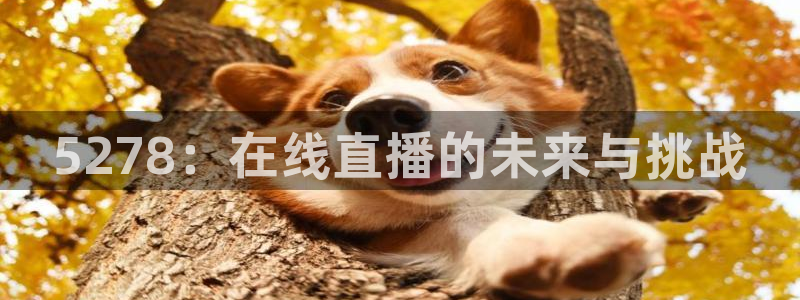 jrkan nba直播：5278：在线直播的未来与挑战