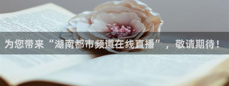 jr看球网直播nba：为您带来“湖南都市频道在线直播”，敬请期待！